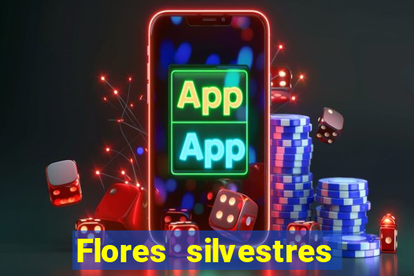 Flores silvestres brasileiras 25